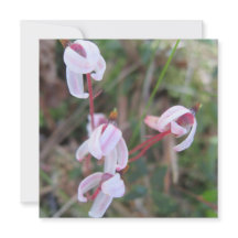 Cartão postal digital