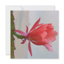 Cartão postal digital