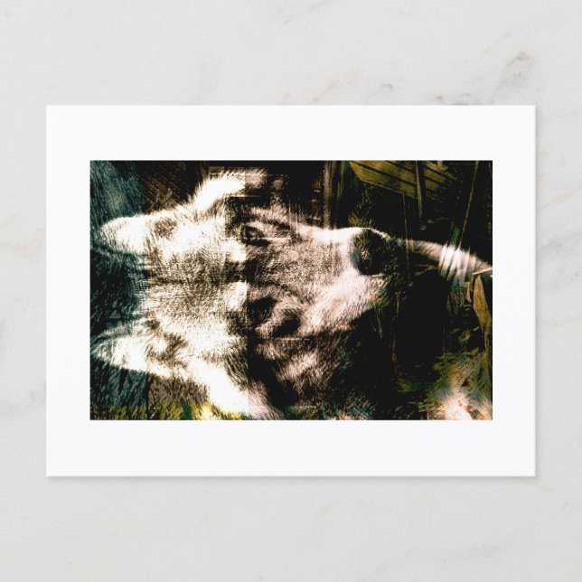 Cartão Postal Digital Remix Art : Wolf Postcard Print by JHT (Frente)