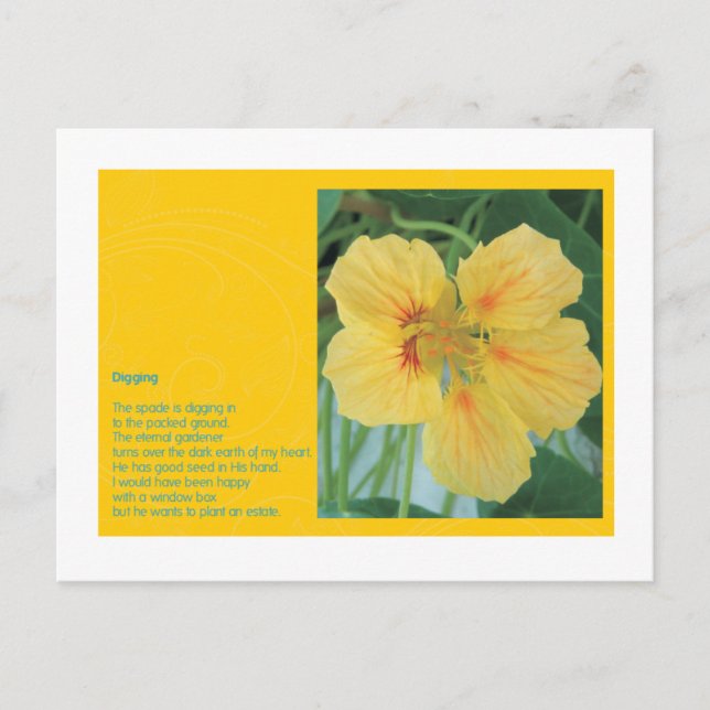 Cartão Postal Digitalização (Frente)