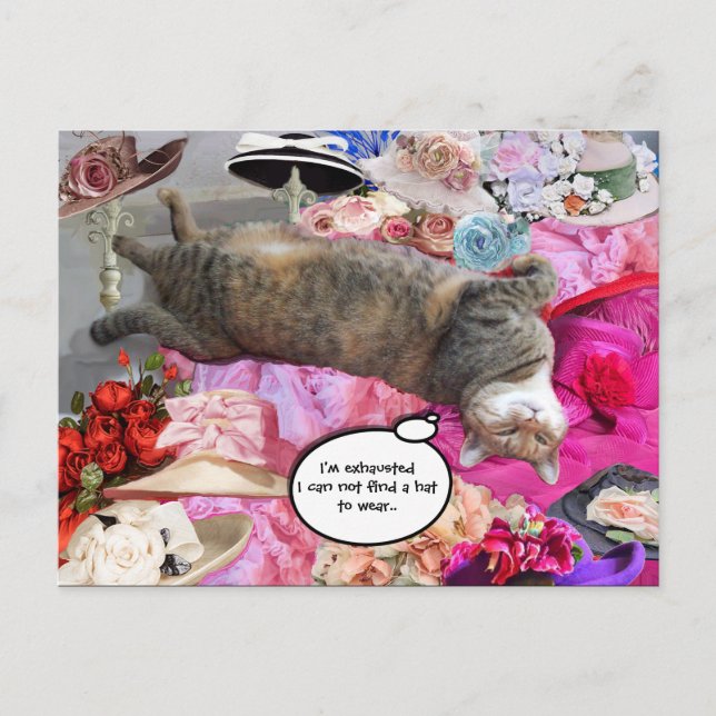 Cartão Postal Dilema da Princesa Tatus Cat (Frente)