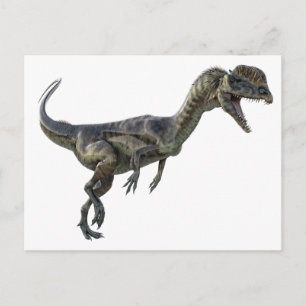 Cartão Postal Dilophosaurus Dinosaur