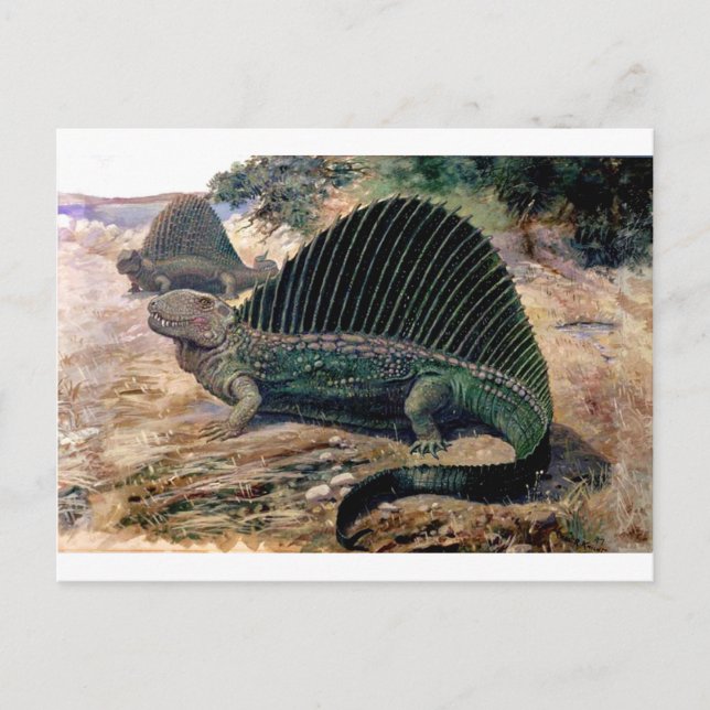 Cartão Postal dimetrodon 1 (Frente)