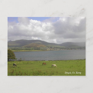 Cartão Postal Dingle Bay, Co. Kerry