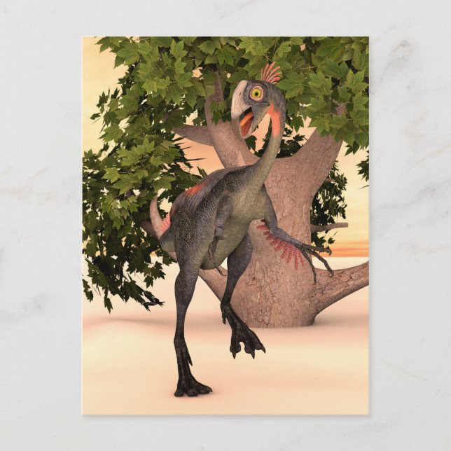 Cartão Postal Dinosaur Gigantoraptor (Frente)