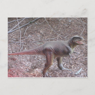 Cartão Postal dinossauro bebê