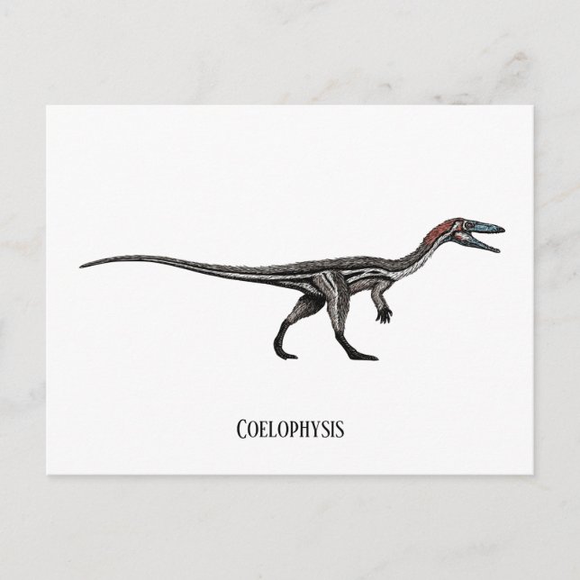 Cartão Postal Dinossauro da Coelopólise (Frente)