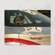 Dinossauro Engraçado Obrigado Cartão-Postal