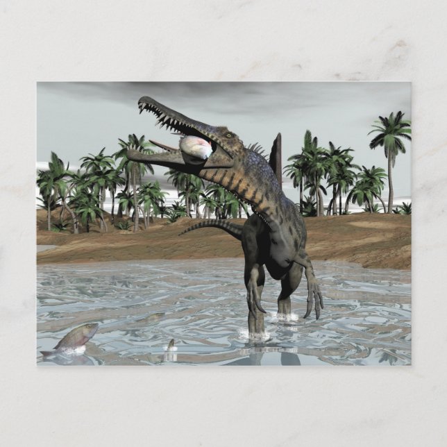 Cartão Postal Dinossauro espinossauro comendo peixe - renderizaç (Frente)