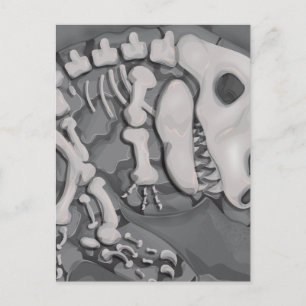 Cartão Postal Dinossauro Fóssil