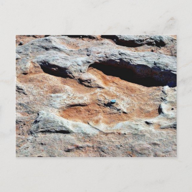 Cartão Postal Dinossauro Rota Norte De Flagstaff (Frente)