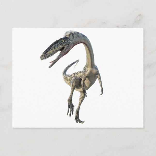 Cartão Postal Dinossauro Runiing do Coelophysis à parte (Frente)