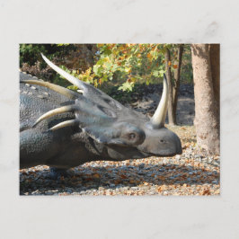 cartão postal _ dinossauro _ triceratops