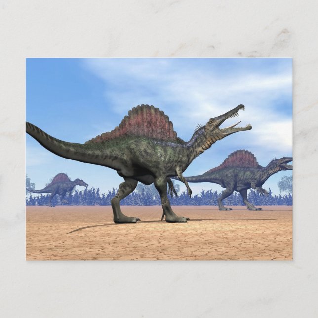 Cartão Postal Dinossauros do espinossauro caminham - renderizaçã (Frente)