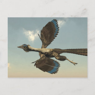 Cartão Postal Dinossauros dos pássaros do Archaeopteryx que voa