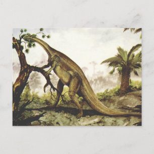 Cartão Postal Dinossauros Vintage, Plateossauro Grazing em Árvo