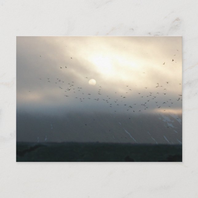 cartão postal diomede 11 (Frente)