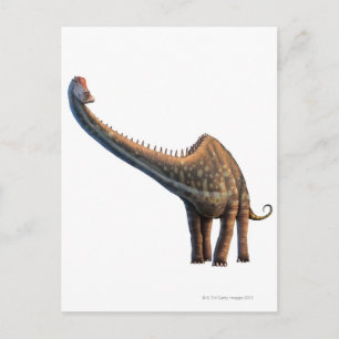 Cartão Postal Diplodocus