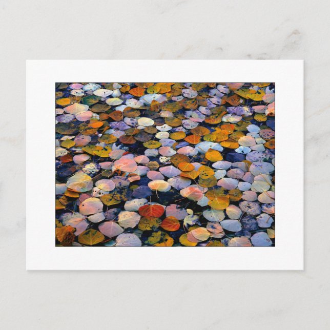 Cartão Postal "Discagem Silenciosa" (Frente)