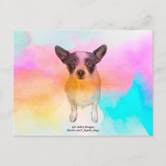 Cartão Postal Disco da Zoey