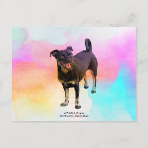 Cartão Postal Disco de Paris