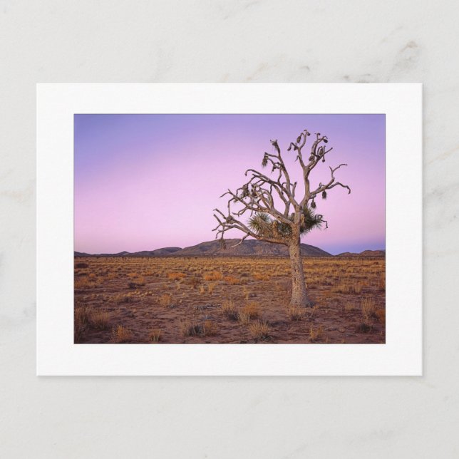 Cartão Postal " Dissipador de Forma Fantasma " (Frente)