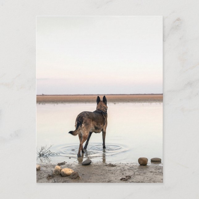 Cartão Postal distante (Frente)