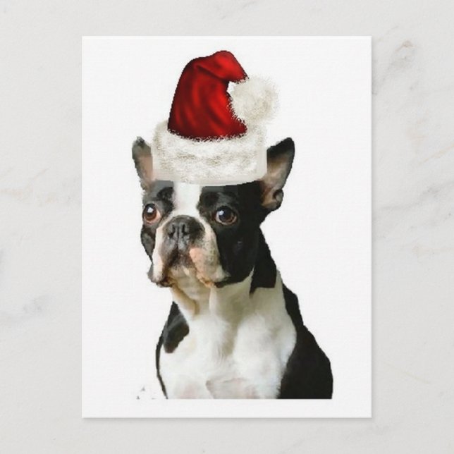 Cartão Postal Ditzy Dogs~Cartão Postal Original~Boston Terrier (Frente)