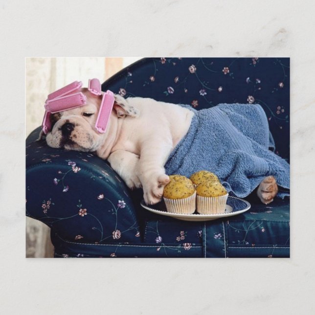 Cartão Postal Diva No Fazer (Frente)