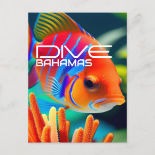 Cartão Postal Dive Bahamas Orange - Planner