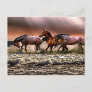 Cartão Postal Diversão À Tarde No Surf