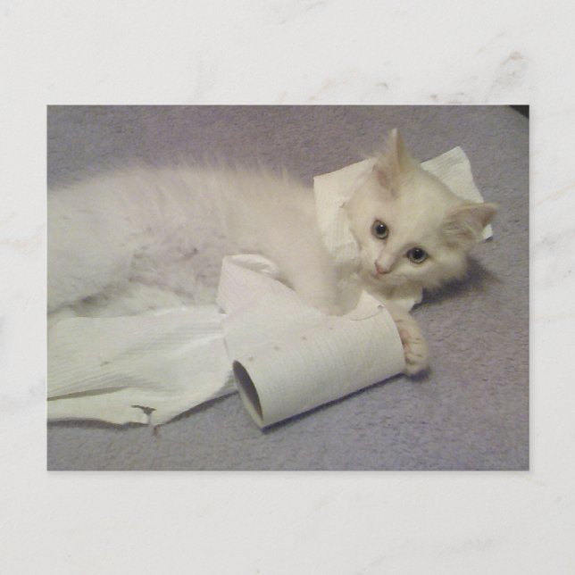 Cartão Postal diversão com papel higiênico (Frente)