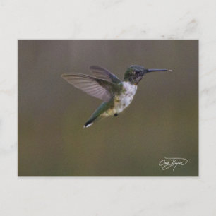 Cartão Postal Diversão de Verão