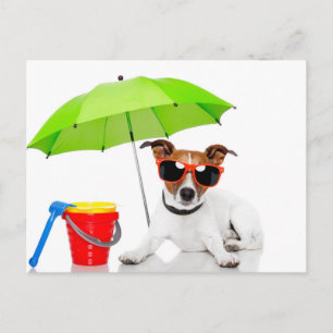 Cartão Postal Diversão de Verão