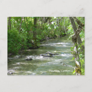 Cartão Postal Diversão de Verão...