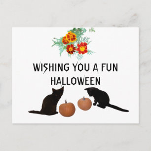 Cartão Postal Diversão do Halloween Laranja Pumpkins Marigolds