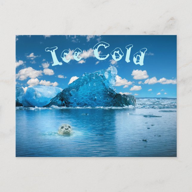 Cartão Postal Diversão Fria De Gelo (Frente)