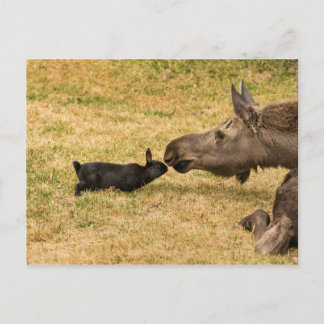 Cartão Postal Diversidade