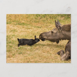 Cartão Postal Diversidade