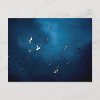Cartão Postal Diversos - Padrão de Tern e Céu Azul Ártico
