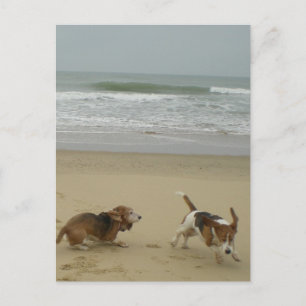 Cartão Postal Divertido na praia