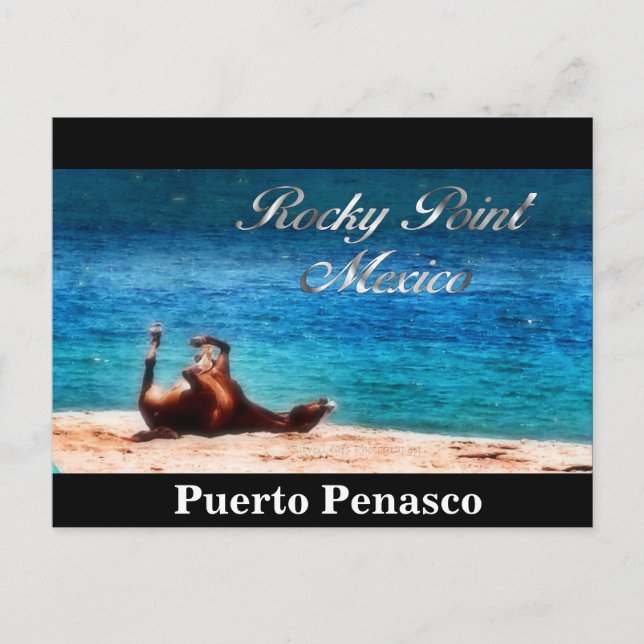 Cartão Postal Divertido No Sol (Frente)