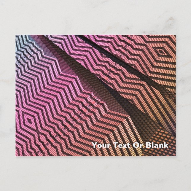 Cartão Postal Divisões Tribais (Frente)