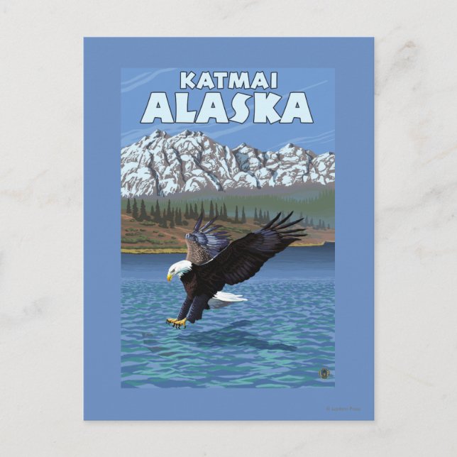 Cartão Postal Divisor Bald Eagle - Katmai, Alaska (Frente)