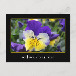 Cartão Postal DIY, Crie o seu próprio, adicione a sua imagem ou