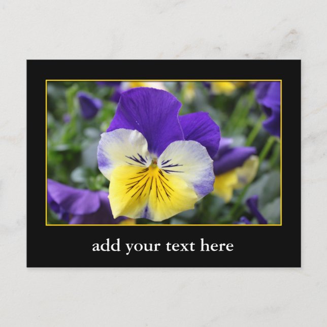 Cartão Postal DIY, Crie o seu próprio, adicione a sua imagem ou  (Frente)