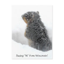 Dizendo oi de Wisconsin Snowy Squirrel