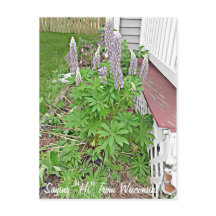 Dizendo Olá de Wisconsin