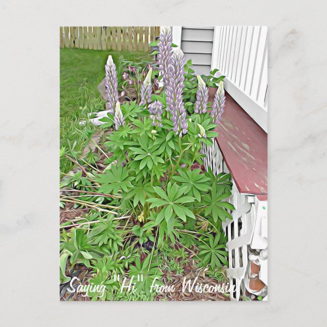 Cartão Postal Dizendo Olá de Wisconsin (Frente)