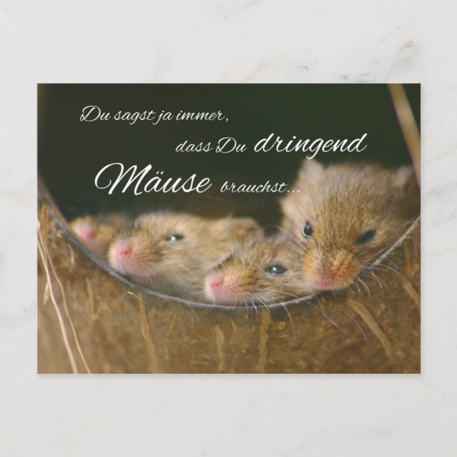 Cartão Postal Dizes sempre, que necessitas ratos urgentes (Frente)